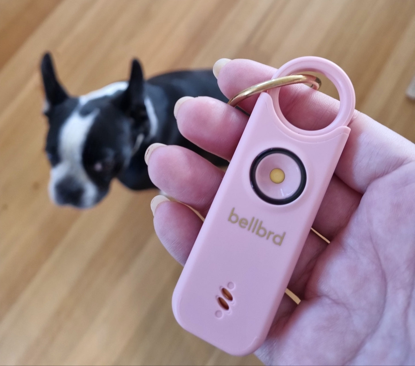 Personal Safety & Door Alarm